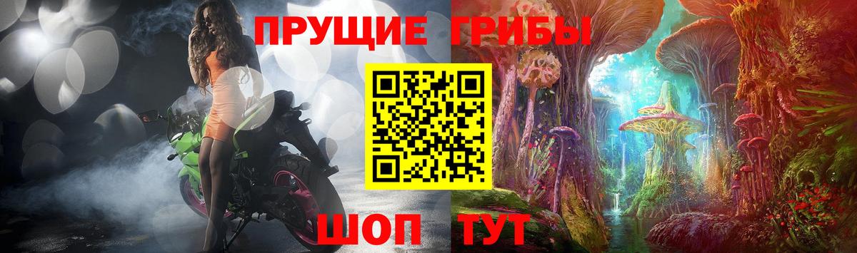 Псилоцибиновые грибы ЛСД  Псилоцибиновые грибы GOLDEN TEACHER  Вход с VPN  Казань 